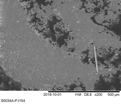 SEM image of Evolvecomp GF40PLD96 composite